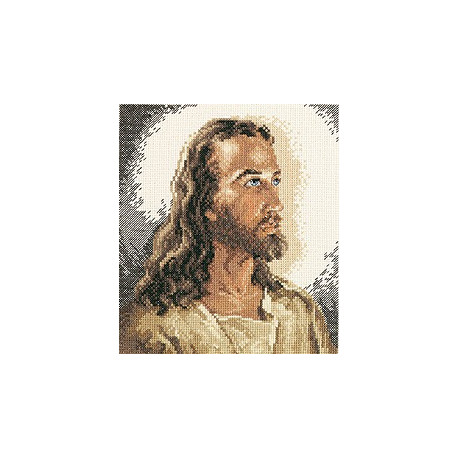 Набір для вишивання Janlynn 1149-00 Portrait of Christ фото