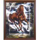 Набор для вышивания Магия Канвы Б-053 Победный конь фото