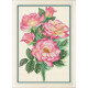 Набор для вышивания крестиком OLanTa VN-103 Садовые розы фото
