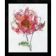 Набор для вышивания Design Works 2970 Pink Floral фото