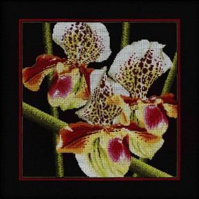 Набор для вышивки RTO M263 Орхидеи Пафилопелиум