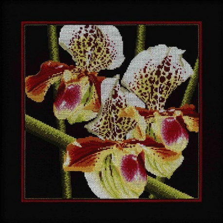 Набор для вышивки RTO M263 Орхидеи Пафилопелиум фото