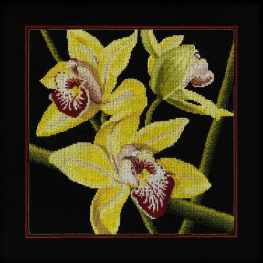 Набор для вышивки RTO M264 Орхидеи Цимбидиум