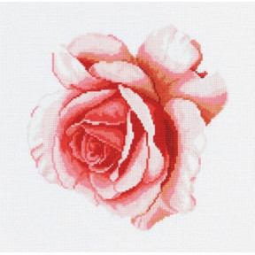 Набір для вишивання хрестом DMC BK608 Rose (Роза) фото