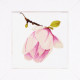 Набор для вышивания Lanarte PN-0008303 Magnolia Bud фото