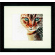 Набір для вишивання Lanarte PN-0021220 Cat Close-up Кіт поблизу