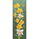 Набор для вышивания крестом Heritage Crafts Daffodil H469 фото