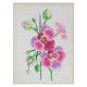Набор для вышивки крестом Dantel Цветки орхидеи 004.1 d фото