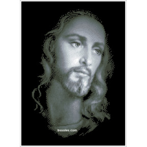 Набор Для Вышивания Бисером БС Солес Иисус Спаситель ІС фото