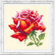 Набор для вышивки крестом Чудесная игла Красная роза 150-003