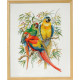 Набір для вишивання Eva Rosenstand Parrots 72-292 фото