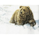 Набор для вышивания Janlynn 023-0279 Heavy Going Grizzly фото