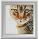 Набір для малювання каменями алмазний живопис Dream Art Бенгальський кіт (квадратні, повна) 30574D