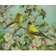 Набор для вышивания Bucilla 45576 Goldfinches фото