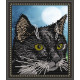 Схема на тканині для вишивання бісером ArtSolo Чорний кіт VKA4333