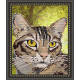 Схема на тканині для вишивання бісером ArtSolo Смугастий кіт