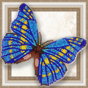 Набір для вишивання бісером метелика на прозорій основі Морфо