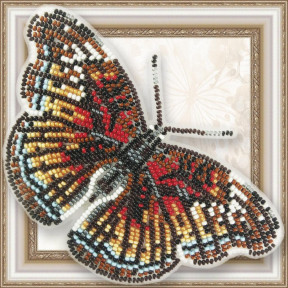 Набор для вышивки бисером бабочки на прозрачной основе Вдохновение Euryphura Сhalcis BGP-073