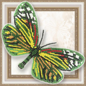 Набор для вышивки бисером бабочки на прозрачной основе Вдохновение Campylotes Histrionicus BGP-074