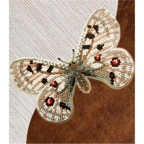 Набір для вишивання бісером метелика з водорозчинним флізеліном Натхнення Аполлон звичайний