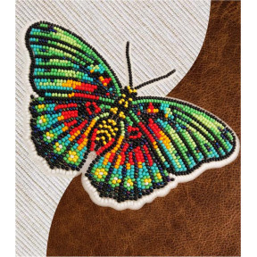 Набір для вишивання бісером метелика з водорозчинним флізеліном Натхнення Euphaedra