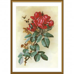 Набір для вишивання хрестиком Нова Слобода Троянда червона СР6244