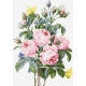 Набір для вишивання хрестиком Luca-S Букет троянд B2373 фото