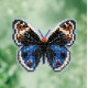Blue Pansy Butterfly / Синяя бабочка Mill Hill Набор для вышивания крестом MH181711