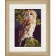 Набор для вышивания Lanarte PN-0146814 Owl фото