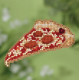 Pizza Slice / Кусок Пиццы Mill Hill Набор для вышивания крестом MH181823