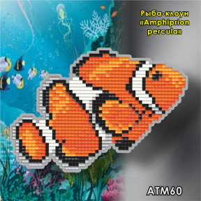 Рыба-клоун (Amphiprion percula) ArtSolo Набор алмазной живописи. Магнит АТМ60