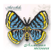 Метелик-магніт «Синій металік» ArtSolo Набір алмазного живопису