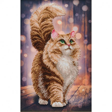Мечтательный кот Набор для вышивания бисером VDV ТН-1342 фото