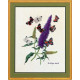 Butterflyplant Набір для вишивання Eva Rosenstand 12-739 фото