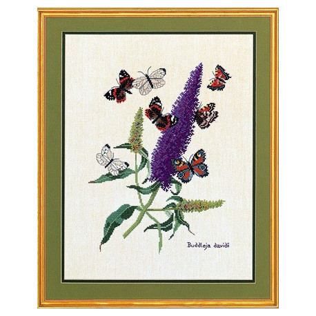 Butterflyplant Набор для вышивания Eva Rosenstand 12-739 фото