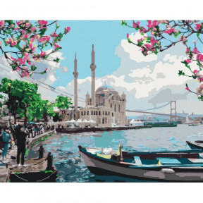 Турецьке узбережжя Картина за номерами Ідейка полотно на підрамнику 40x50см КНО2166