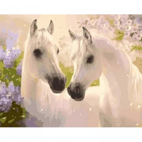 Пара коней Картина за номерами Ідейка полотно на підрамнику 40x50см КНО2433