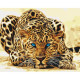 Дикая кошка Картина по номерам Идейка холст на подрамнике 40x50см КНО2450