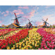 Красочные тюльпаны Голландии Картина по номерам Идейка холст на подрамнике 40x50см КНО2224