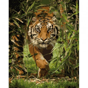 Король джунглей Картина по номерам Идейка холст на подрамнике 40x50см КНО4043