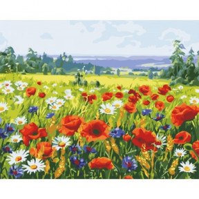 Поле цветов ArtStory подарочная упаковка 40x50см AS0546