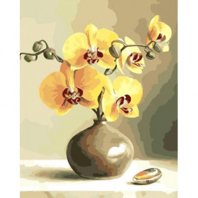 Орхидеи ArtStory подарочная упаковка 40x50см AS0019