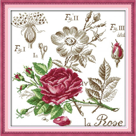Ботаника. Роза Набор для вышивания крестом с печатью на ткани