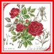 Ботаника. Красная роза Набор для вышивания крестом с печатью на