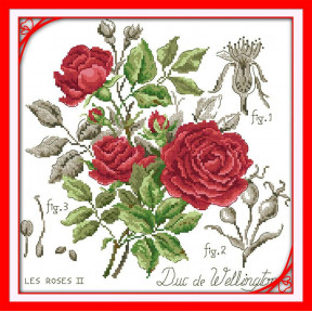 Ботаника. Красная роза Набор для вышивания крестом с печатью на ткани NKF H 5202