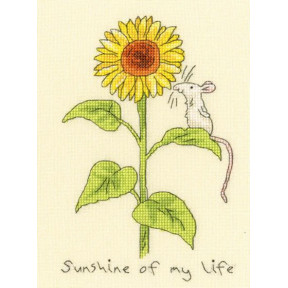 Набор для вышивания крестом Sunshine of my life "Солнечный свет моей жизни" Bothy Threads XAJ13
