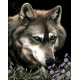 Волк в астрах Набор для вышивания бисером ТМ АЛЕКСАНДРА ТОКАРЕВА 37-2668-НВ