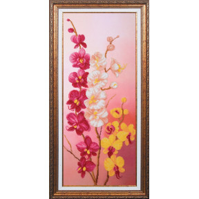 Набор для вышивания Магия Канвы Вдохновение Орхидеи Б-197 фото