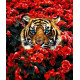 Тигр в цветах Набор для вышивания бисером ТМ АЛЕКСАНДРА ТОКАРЕВА 40-2530-НТ