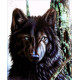 Канадский волк Набор для вышивания бисером ТМ АЛЕКСАНДРА ТОКАРЕВА 33-2576-НК